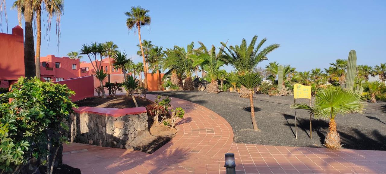 Small&Sunny Wifi Premium Vivienda Vacacional Corralejo Exterior foto